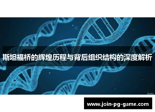 斯坦福桥的辉煌历程与背后组织结构的深度解析